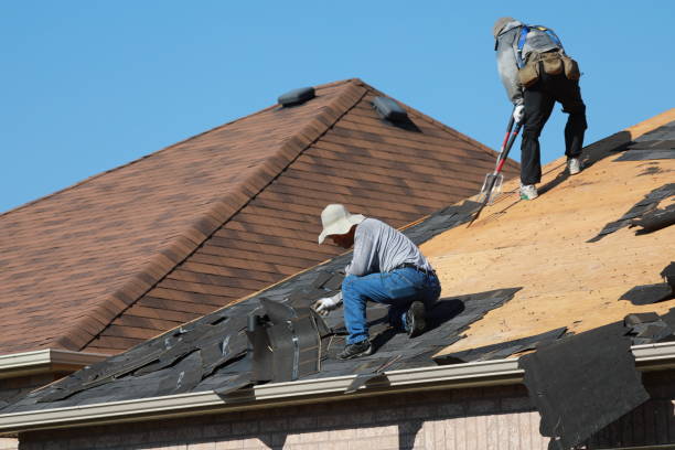 Best Cold Roofs  in Evart, MI