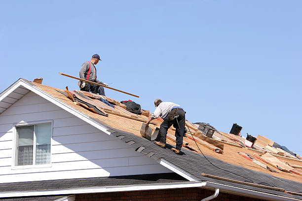 Best Storm Damage Roof Repair  in Evart, MI